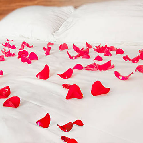 Bed Covered in Silk Rose Petals